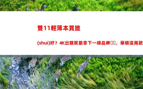 雙11輕薄本買誰(shuí)好？4K出頭就能拿下一線品牌，華碩這兩款可閉眼入(輕薄本買什么好)